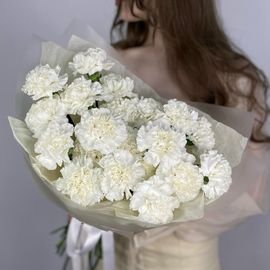 Моно из 25 белых диантусов