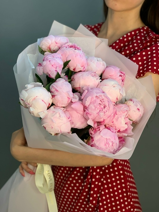 15 нежно-розовых пионов