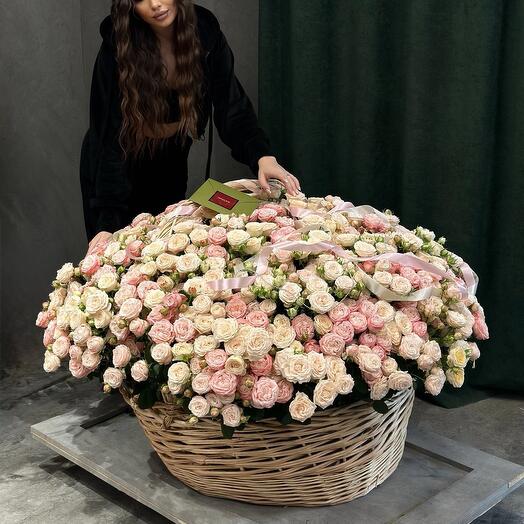 201 кустовая пионовидная Роза премиум 