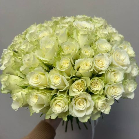 Букет из 101 белой кенийской розы