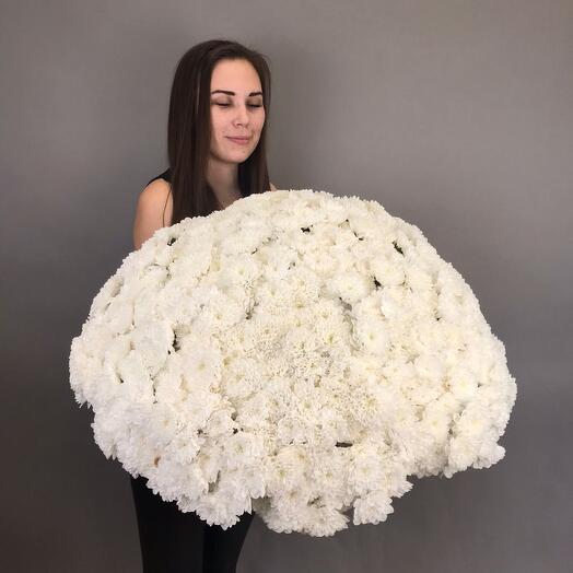 Огромный букет из 51 кустовой хризантемы WOW