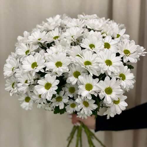 Букет ромашек