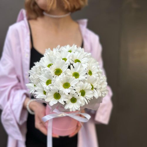 Ромашковая хризантема в шляпной коробочке (к0047)