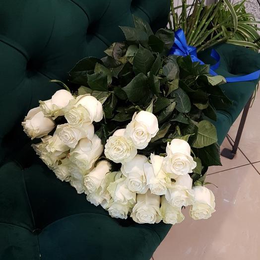 Роза эквадорская белая