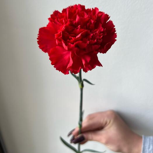 Гвоздика 1шт