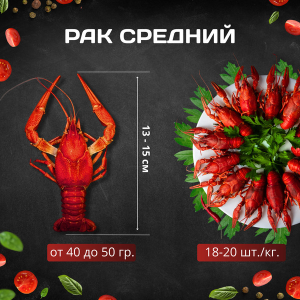 Рак S — средний