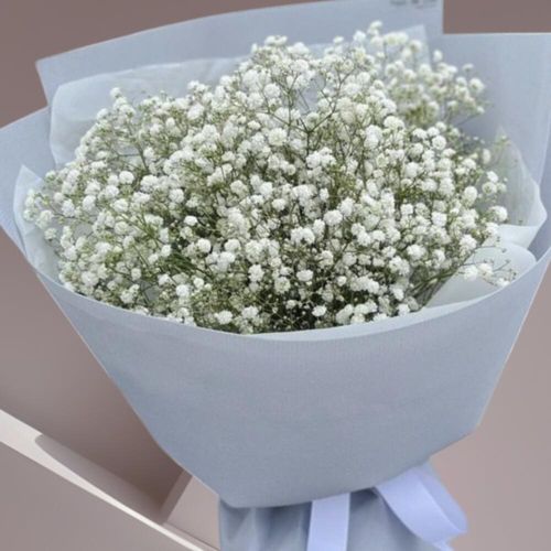 Снежное облако