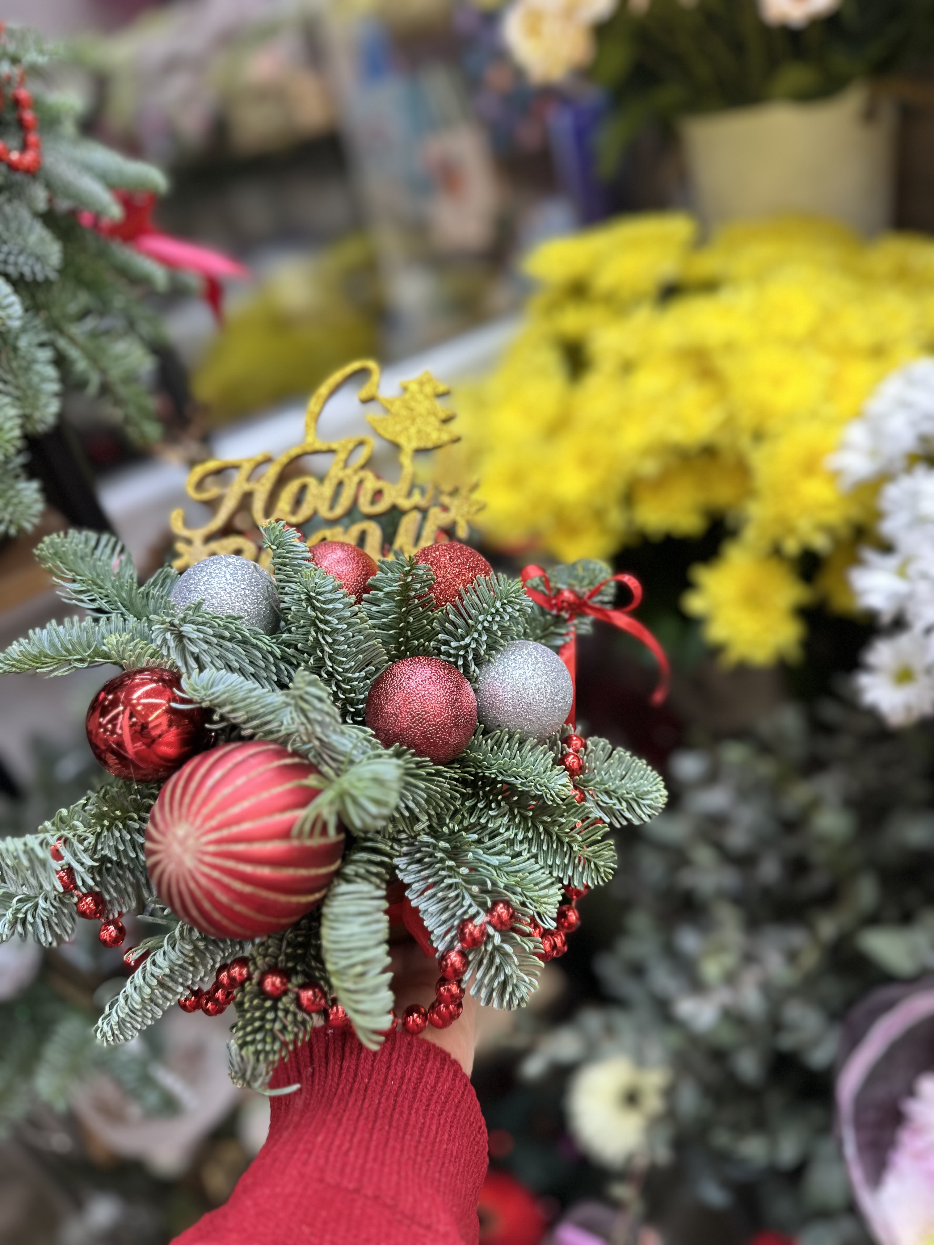 Композиция из  нобилс 