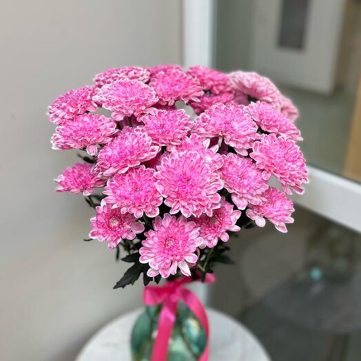 5 розовых кустовых хризантем под ленту