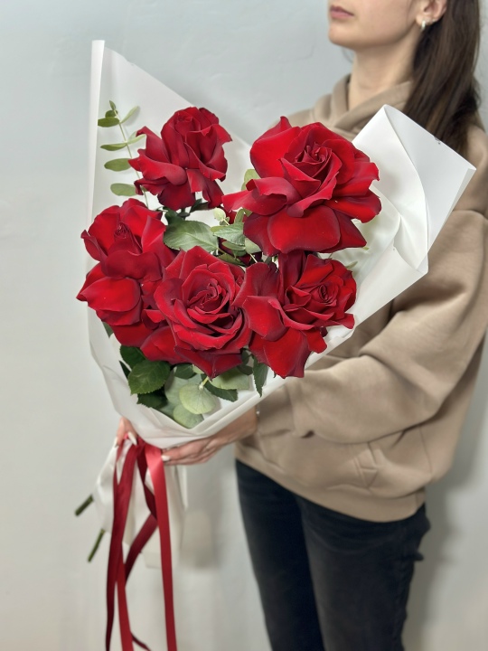 Розы красные эквадор Софи Лорен