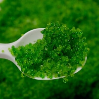 Икра Тобико Зеленая (0.50гр)