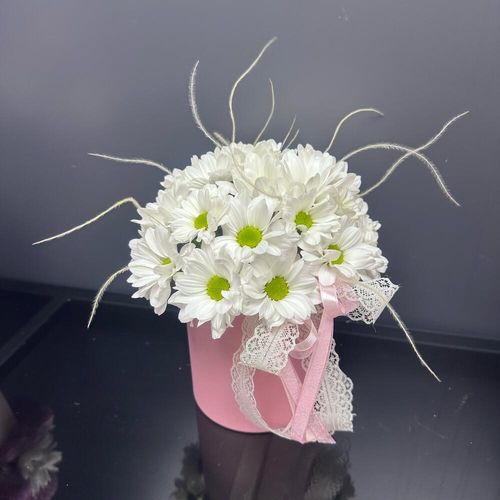 Ромашковые Хризантемы в коробочке (к1851)