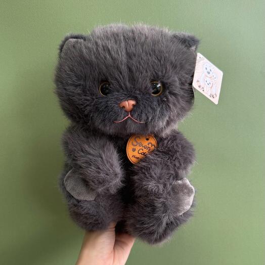 Киска обояшка