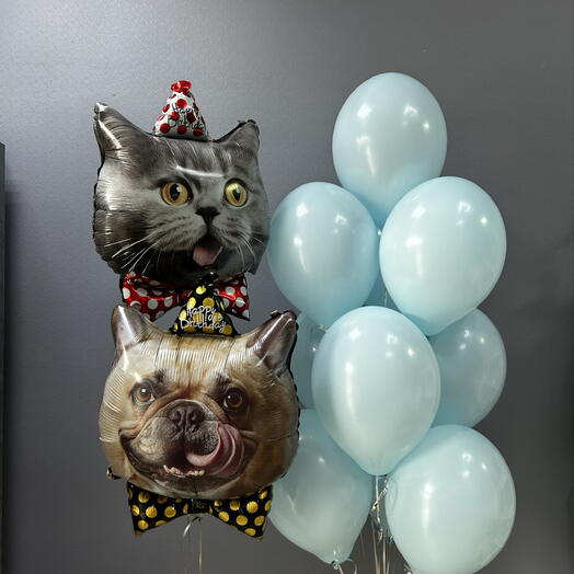 Шары кот, собака