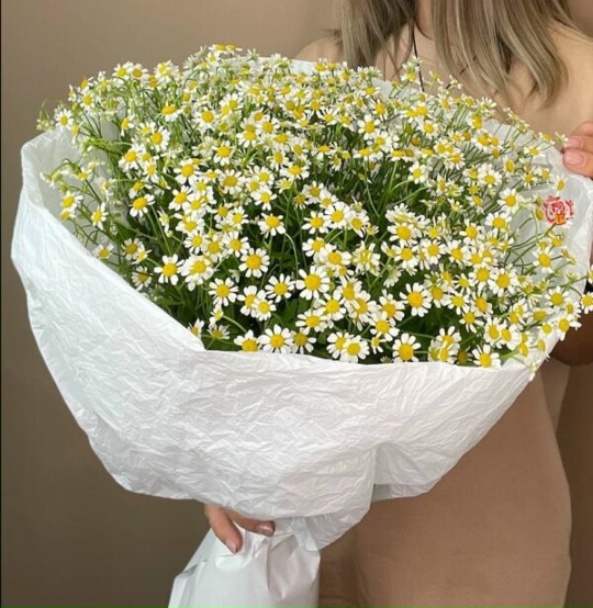Букет "Голландские ромашки" 15 штук
