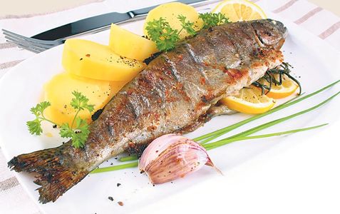 Шашлык из Радужной Форели