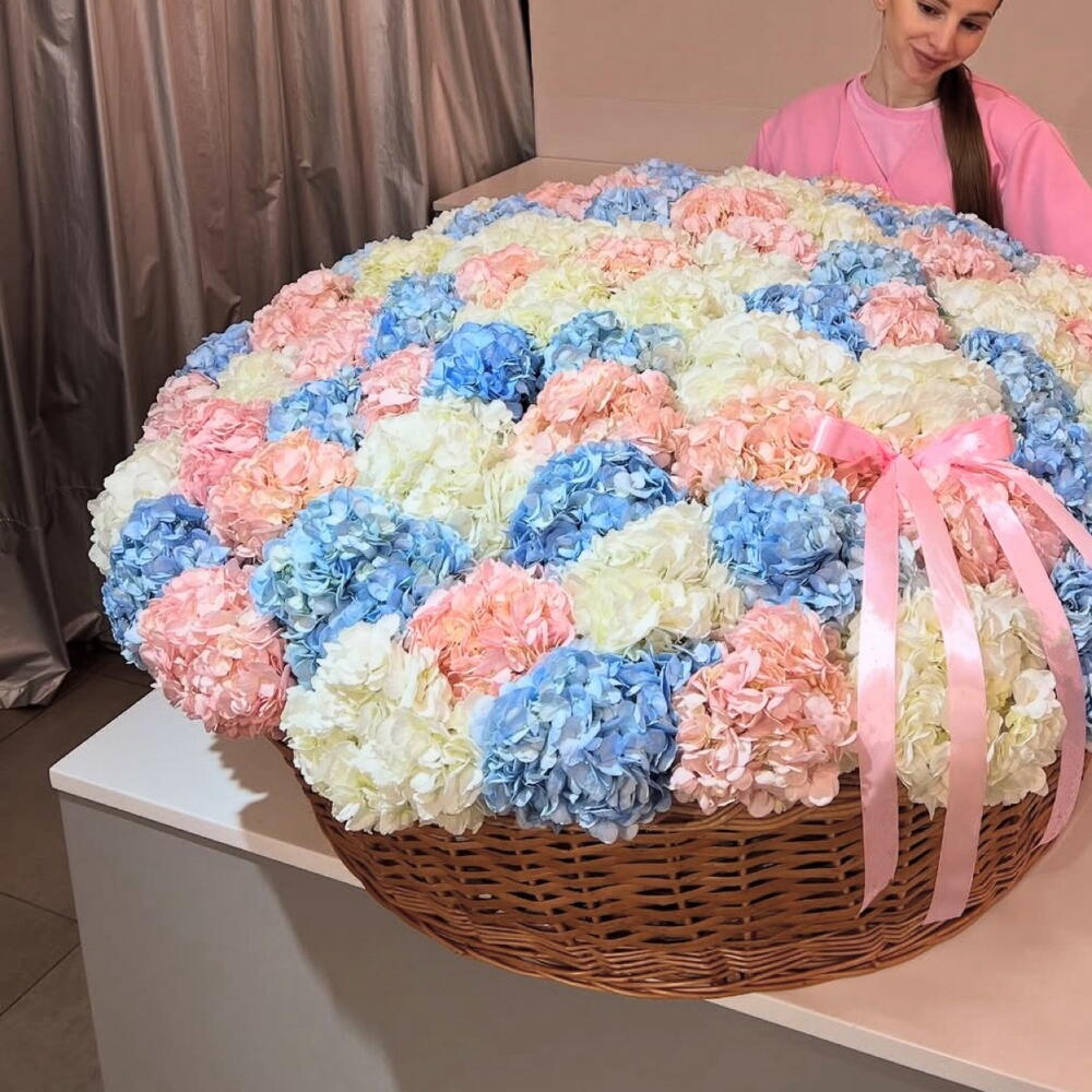 151 гортензия огромная корзина
