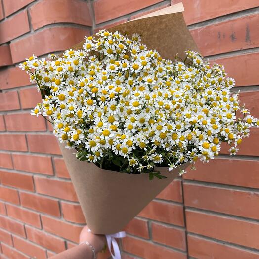 25 ромашек (матрикария) в крафте