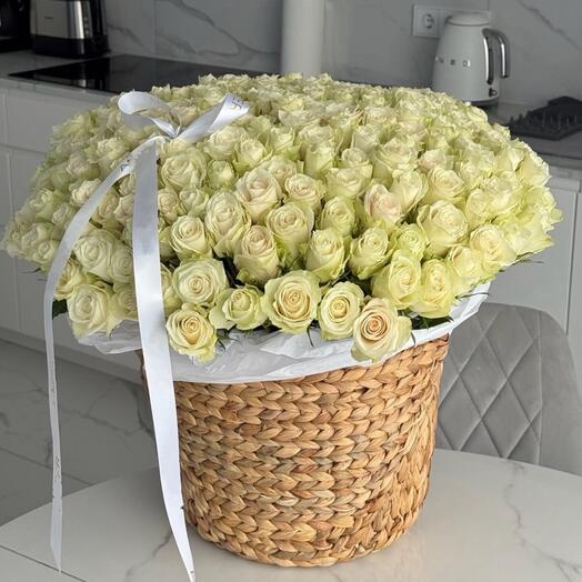 101 белая Роза в корзине стильно