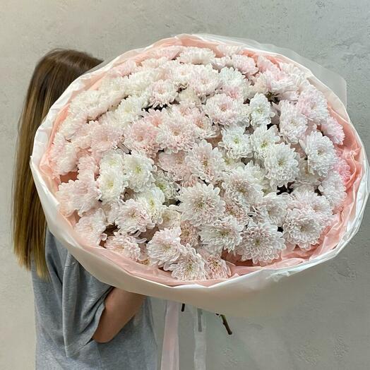 Моно гигант из хризантем