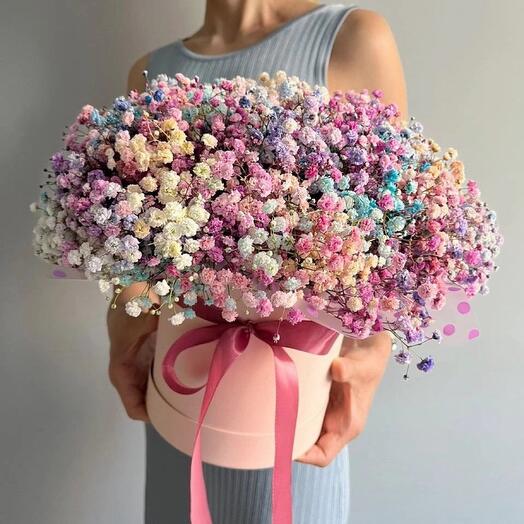 Гипсофила радужная в коробке