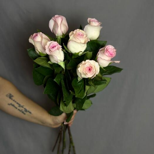 Роза Мандала 60см - 7шт