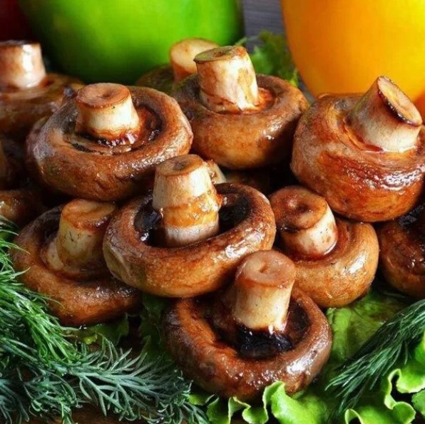 Шашлык из шампиньонов