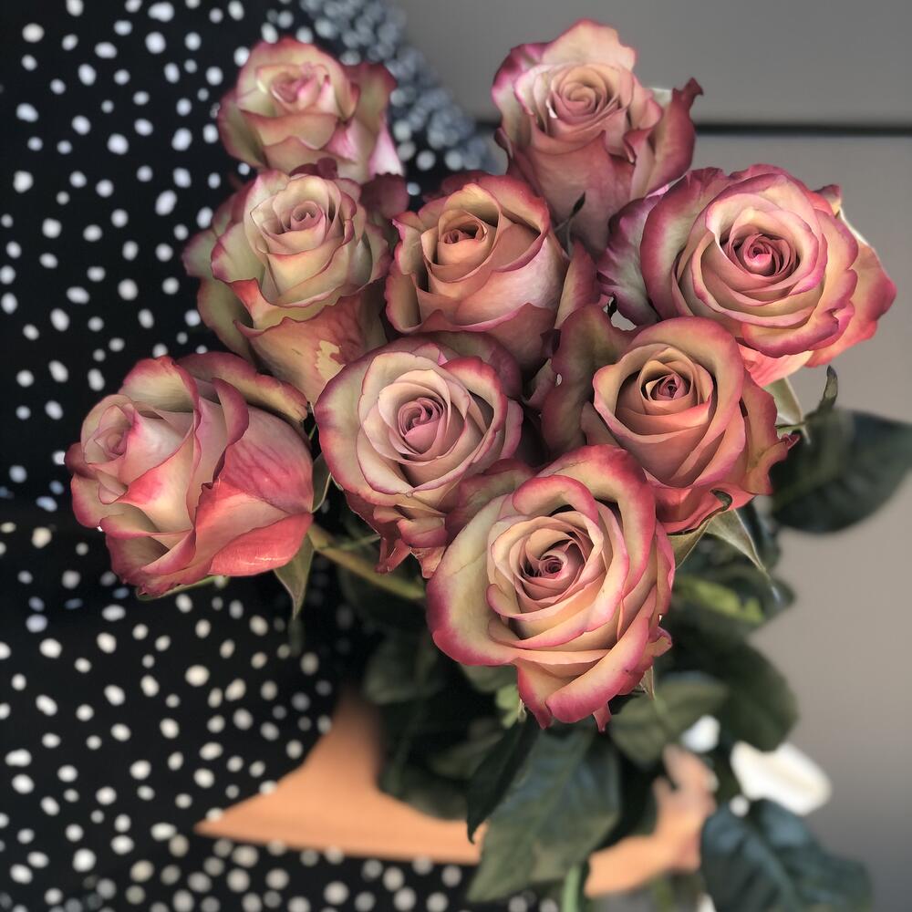 Букет роз Эквадор Vintage 9 шт