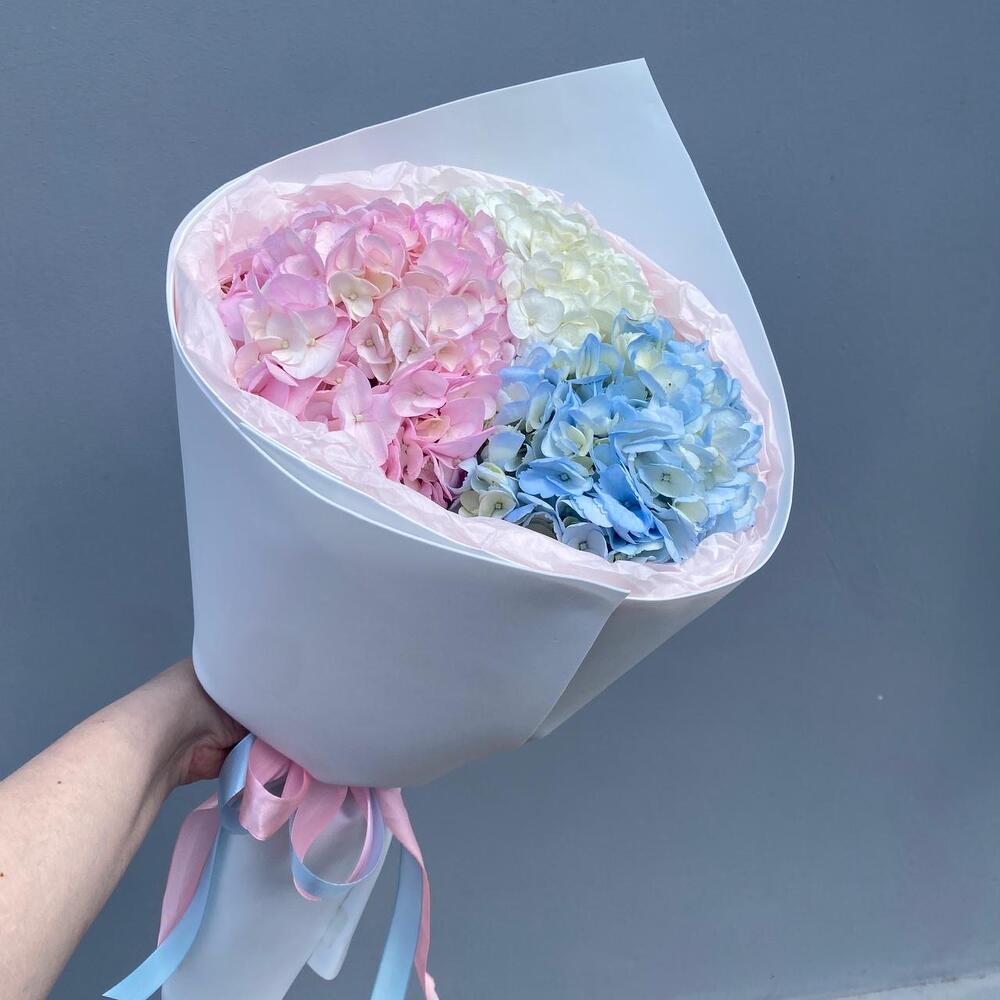 Гортензии в кулечке