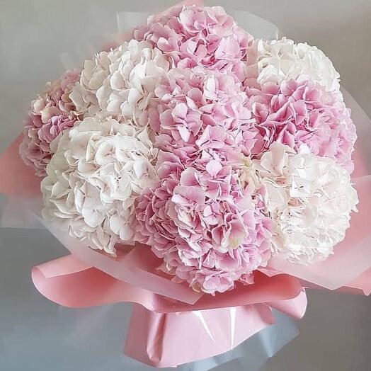 Букет из бело-розовых гортензий 9 шт