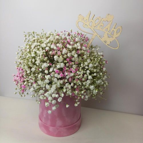 Гипсофилы в коробке 