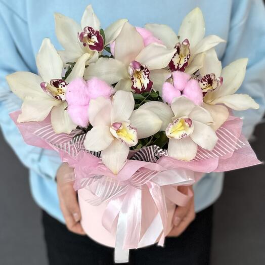 Орхидеи белые с хлопком в коробке