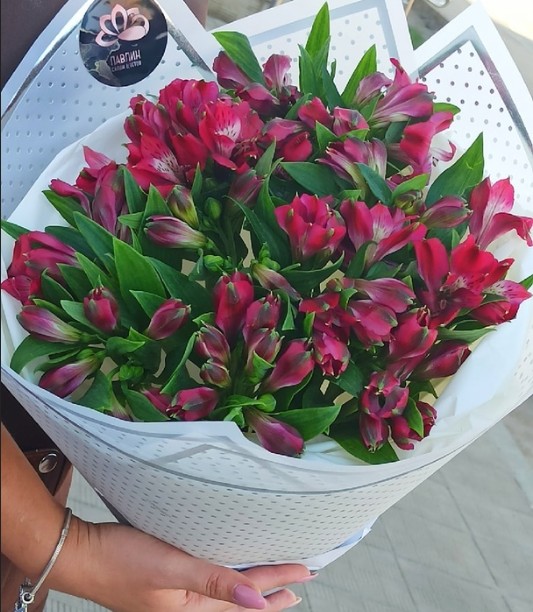 Альтромерии букет