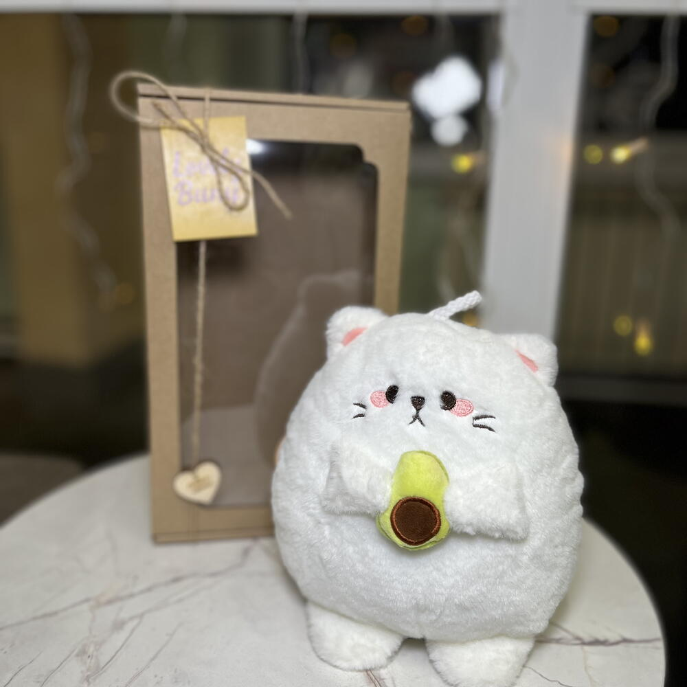 Котик белый в коробке