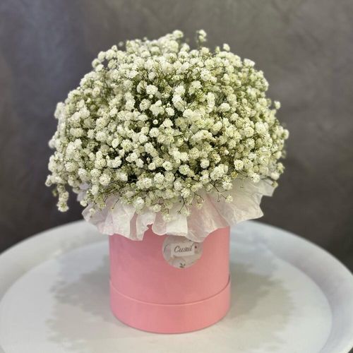 Букет из белой гипсофилы в коробке (к0124)