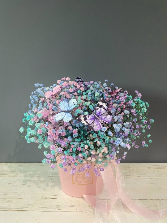 Радужная гипсов да с бабочками