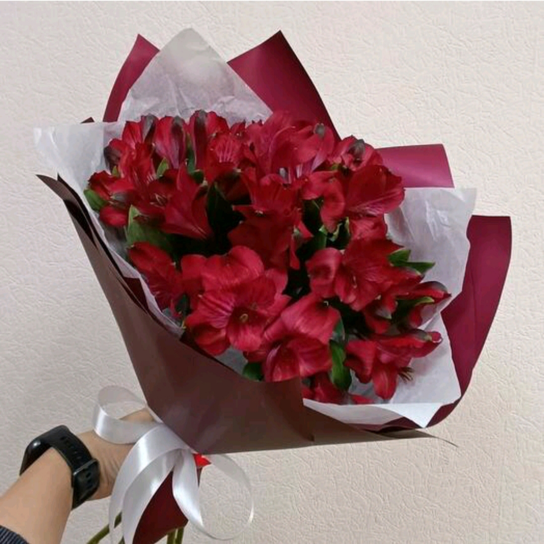 Рубиновые альстромерии 5 шт