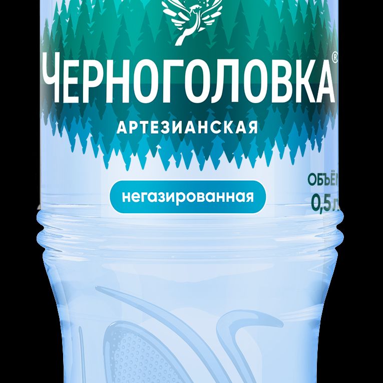 Вода «ЧЕРНОГОЛОВКА» негаз.