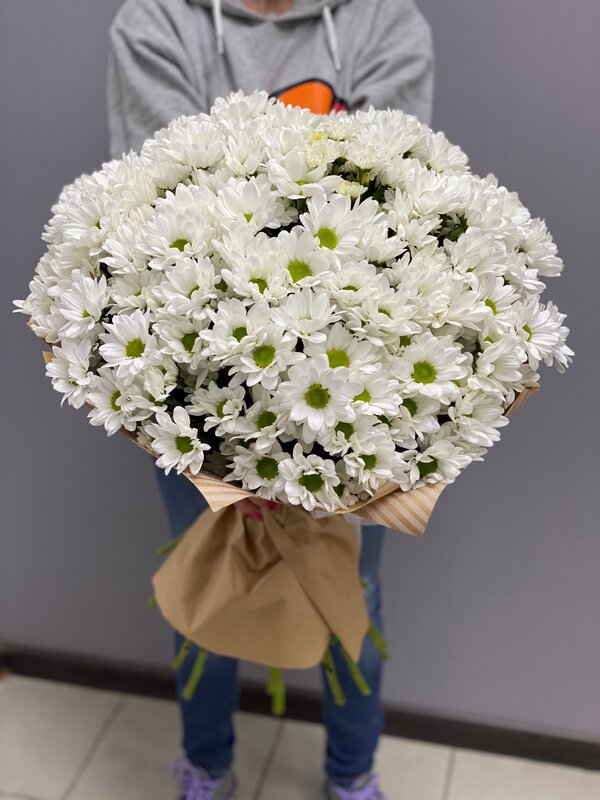 Букет из 15 кустовых ромашковых хризантем