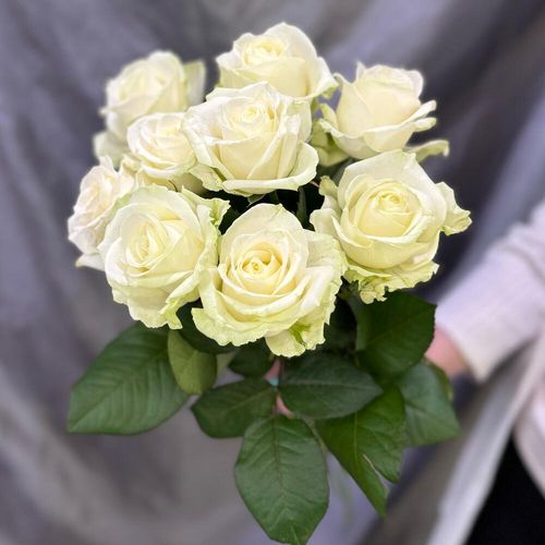 Букет белых роз, 9 шт