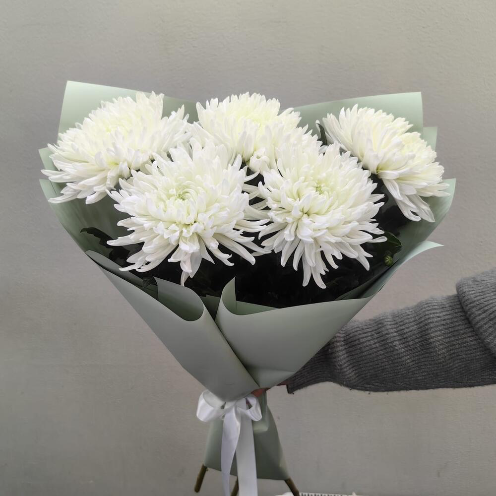 Букет из 5 белых хризантем в упаковке (код 249)