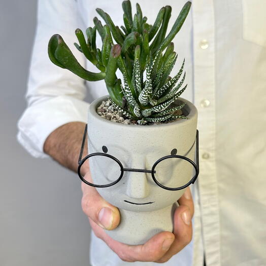 Микс из суккулентов «Интеллектуал»