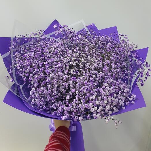 Гипсофила Лаванда