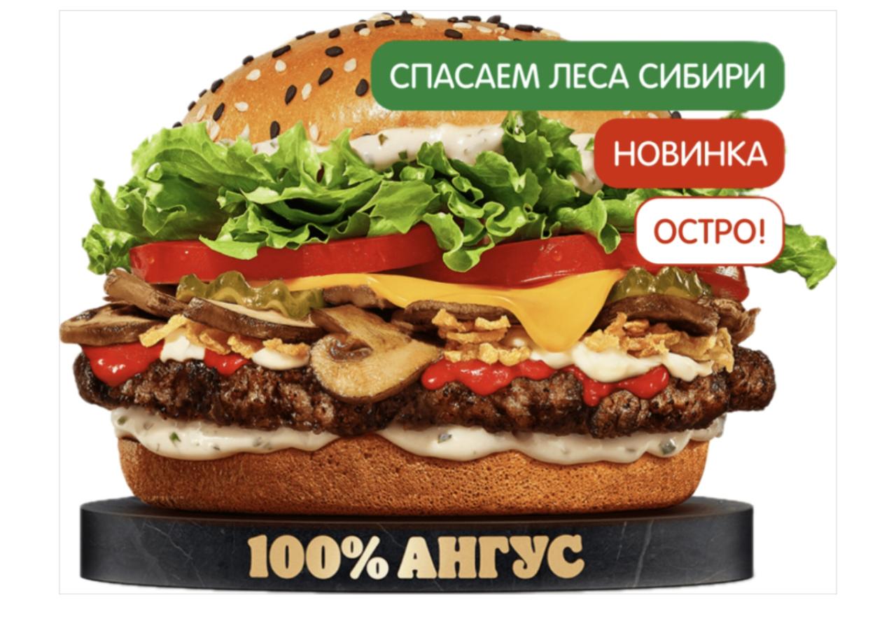 Острый Ангус Сибирский 