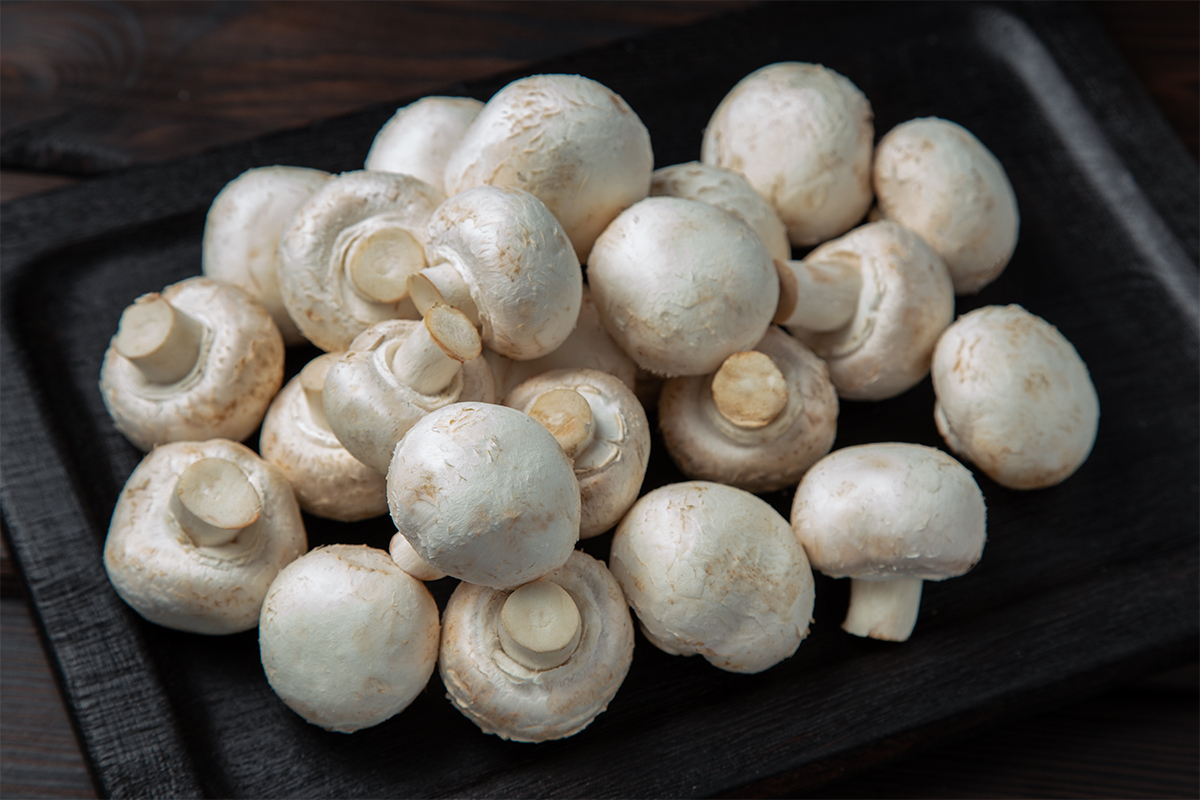Грибы шампиньоны