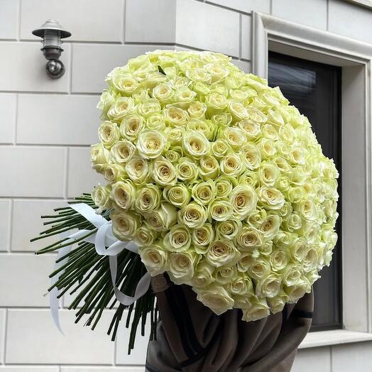 151 Роза 70 см голладская свежая