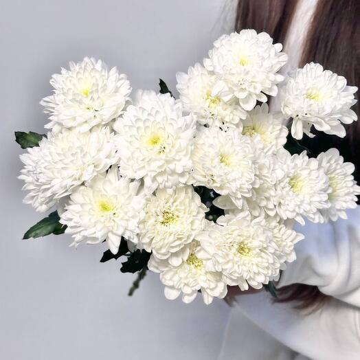 Букет из 3 веток кустовой хризантемы под ленту