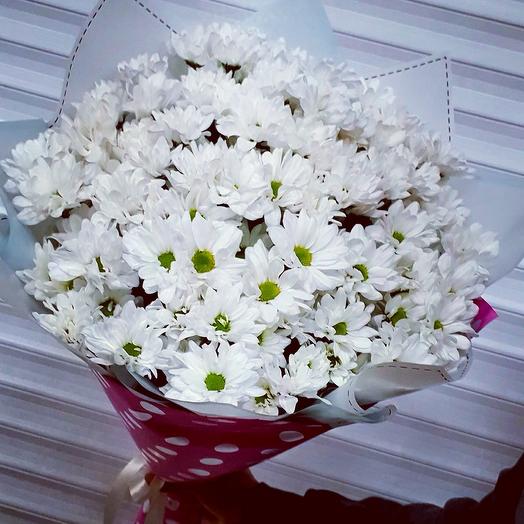 Ромашки Мои