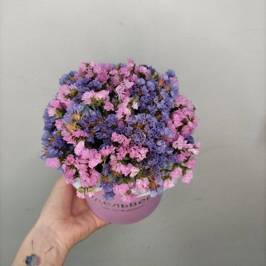 Статица сухоцвет в коробке