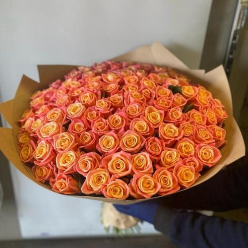 101 роза Мисс Пигги